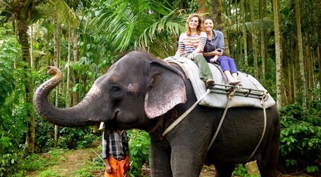 Eletaria - Spice Trails Unlimited, Vandenmedu, Thekkady, Idukki