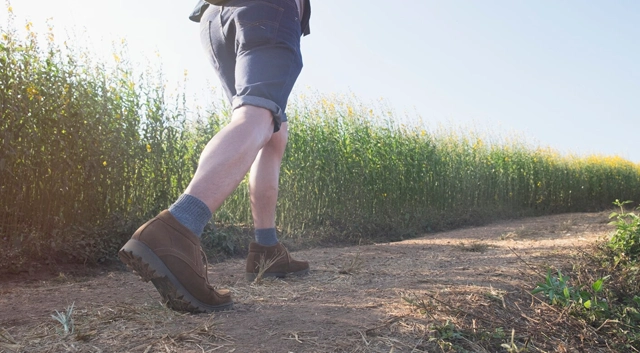 Eletaria - Spice Trails Unlimited, Vandenmedu, Thekkady, Idukki