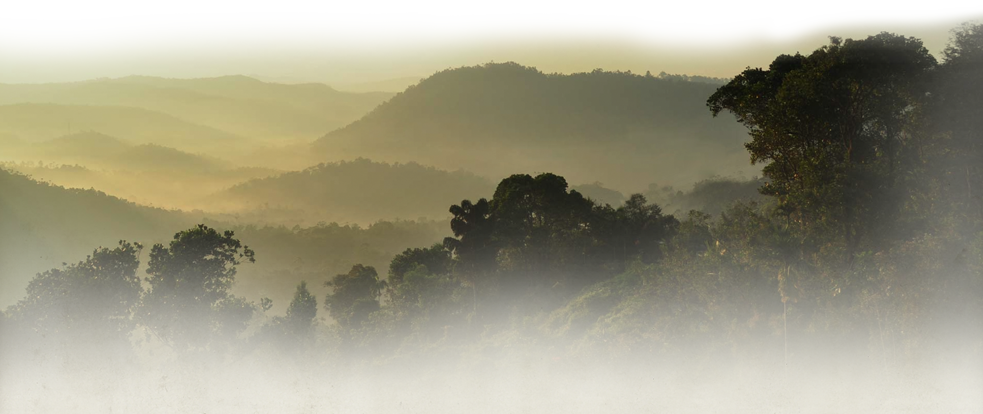 Eletaria - Spice Trails Unlimited, Vandenmedu, Thekkady, Idukki