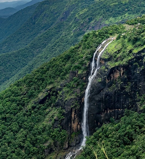 Eletaria - Spice Trails Unlimited, Vandenmedu, Thekkady, Idukki