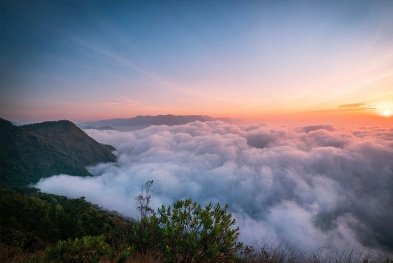 Eletaria - Spice Trails Unlimited, Vandenmedu, Thekkady, Idukki