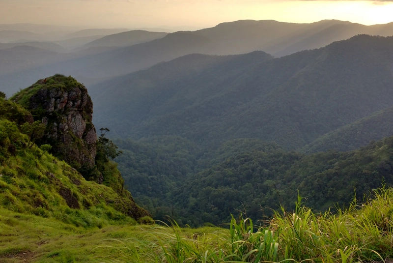 Eletaria - Spice Trails Unlimited, Vandenmedu, Thekkady, Idukki