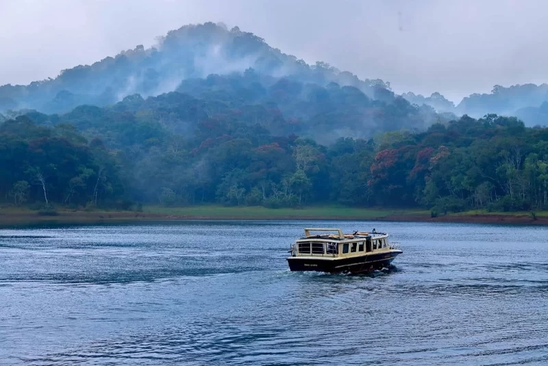 Eletaria - Spice Trails Unlimited, Vandenmedu, Thekkady, Idukki