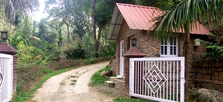 Eletaria - Spice Trails Unlimited, Vandenmedu, Thekkady, Idukki