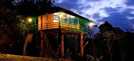 Eletaria - Spice Trails Unlimited, Vandenmedu, Thekkady, Idukki